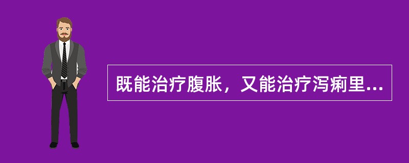 既能治疗腹胀，又能治疗泻痢里急后重的药物是A、枳实B、厚朴C、木香D、陈皮E、青