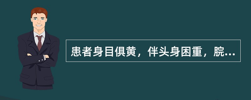 患者身目俱黄，伴头身困重，脘痞，纳呆，恶心，大便溏垢，苔腻微黄，脉濡数。治疗宜选