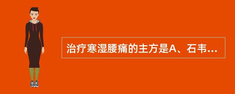 治疗寒湿腰痛的主方是A、石韦散B、乌头汤C、实脾饮D、肾着汤E、肾气丸