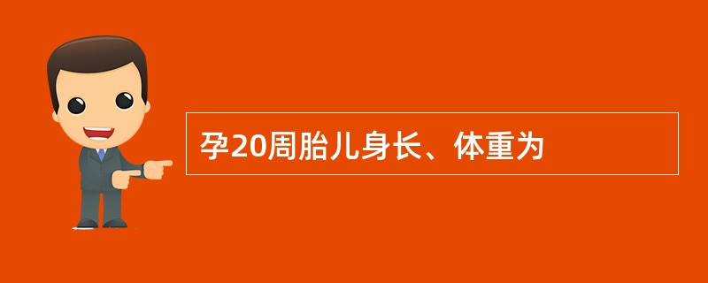 孕20周胎儿身长、体重为