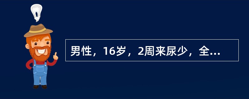 男性，16岁，2周来尿少，全身水肿明显。尿白蛋白定量8g£¯天。血浆白蛋白18g