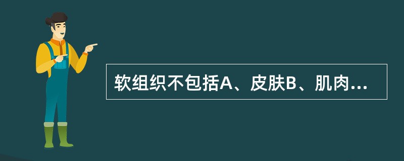 软组织不包括A、皮肤B、肌肉C、肌腱D、韧带E、关节软骨