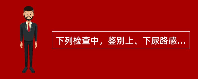 下列检查中，鉴别上、下尿路感染最有意义的检查是A、尿常规B、血沉C、IVPD、血