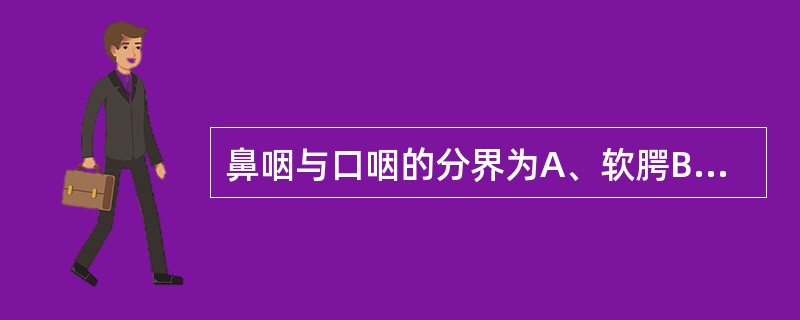 鼻咽与口咽的分界为A、软腭B、舌根C、环状软骨下缘D、口咽峡E、会厌上缘