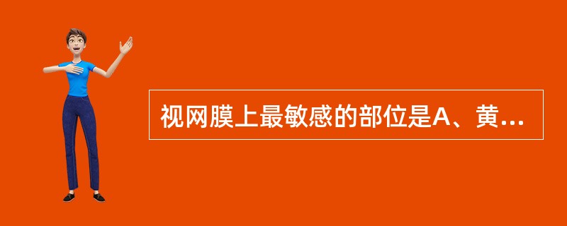 视网膜上最敏感的部位是A、黄斑B、视神经乳头C、中央凹D、视盘周边部E、视网膜周