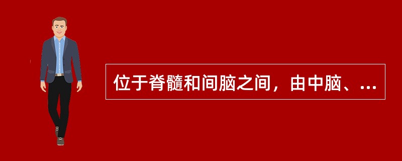 位于脊髓和间脑之间，由中脑、脑桥和延髓组成