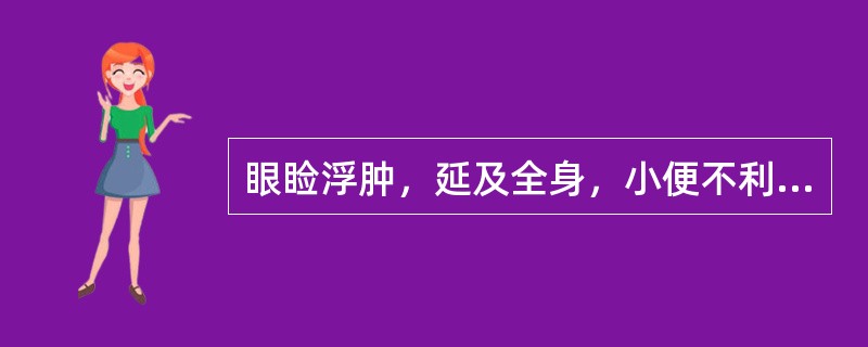 眼睑浮肿，延及全身，小便不利，身发疮痍，甚至溃烂，恶风发热，舌红苔薄黄，脉滑数者