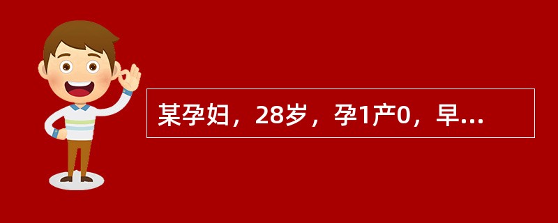 某孕妇，28岁，孕1产0，早孕反应较重，食欲不振、呕吐。现孕8周，皮肤黏膜苍白，