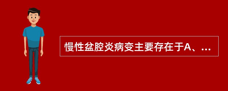 慢性盆腔炎病变主要存在于A、输卵管及卵巢B、子宫肌层及输卵管C、盆腔结缔组织、盆