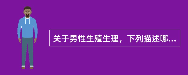 关于男性生殖生理，下列描述哪项是错误的A、男性生殖系统包括生殖腺、生殖管道、附属