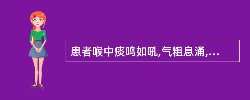 患者喉中痰鸣如吼,气粗息涌,胸高胁胀,咳痰色黄,烦闷不安,汗出面赤,口渴喜饮,舌