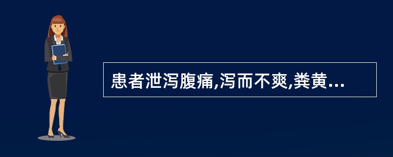 患者泄泻腹痛,泻而不爽,粪黄褐而臭,肛门灼热,烦躁口渴,小便黄,舌苔黄腻,脉濡数