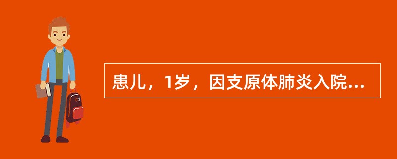 患儿，1岁，因支原体肺炎入院，平时由保姆照顾，此时收集资料的主要来源是指A、患儿