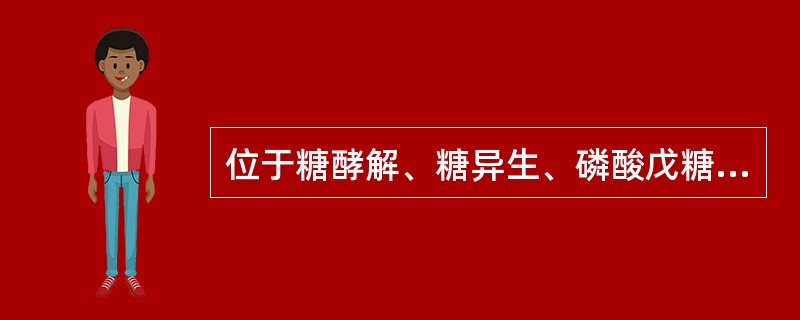 位于糖酵解、糖异生、磷酸戊糖途径、糖原合成和糖原分解各条糖代谢途径交汇点上的化合