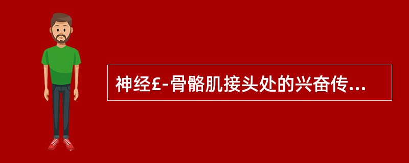 神经£­骨骼肌接头处的兴奋传递物质是A、5£­羟色胺B、乙酰胆碱C、去甲肾上腺素