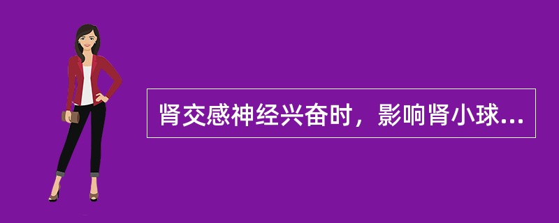 肾交感神经兴奋时，影响肾小球滤过率的主要因素是A、肾血流量增多B、人球小动脉舒张