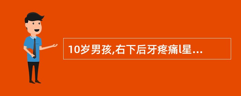 10岁男孩,右下后牙疼痛l星期就诊。检查:右下第一前磨牙畸形中央尖折断,叩(£«