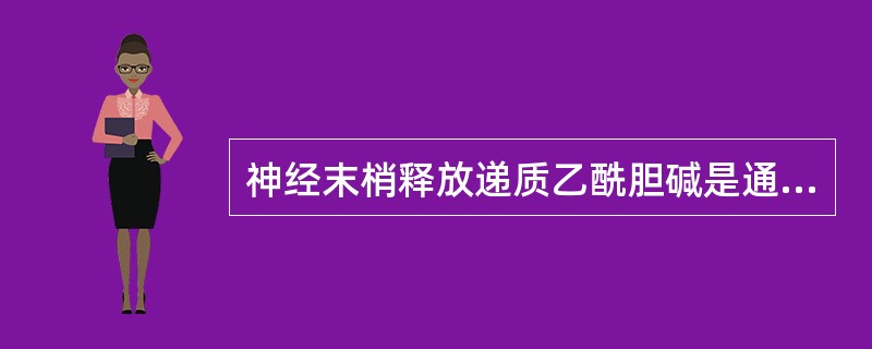 神经末梢释放递质乙酰胆碱是通过什么方式进行的 ( )