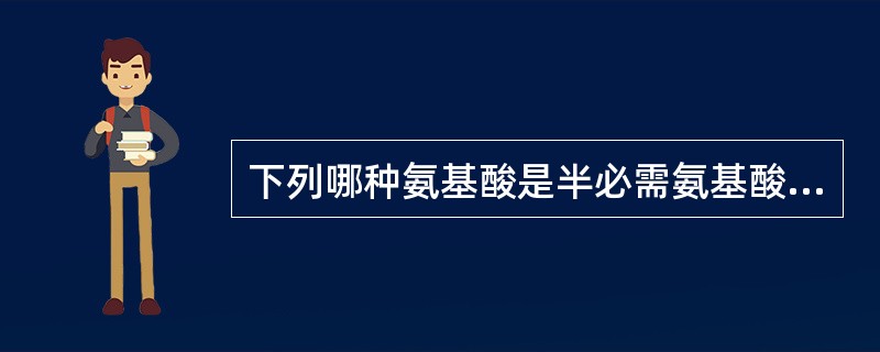 下列哪种氨基酸是半必需氨基酸A、苏氨酸B、脯氨酸C、酪氨酸D、赖氨酸E、亮氨酸