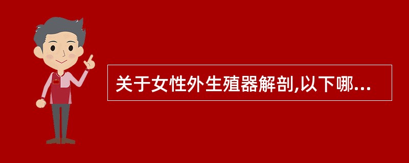 关于女性外生殖器解剖,以下哪项错误 ( )