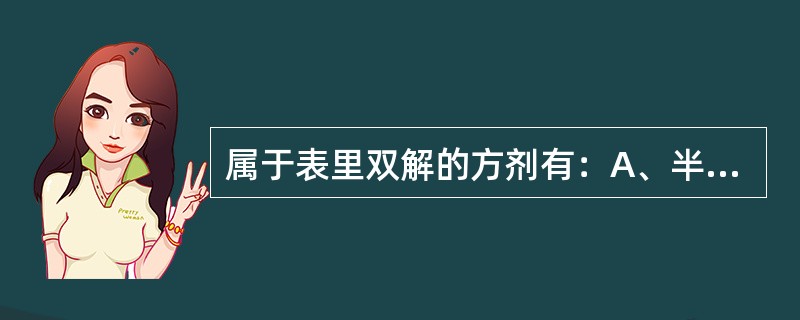 属于表里双解的方剂有：A、半夏泻心汤B、痛泻要方C、逍遥散D、四逆散E、葛根黄芩