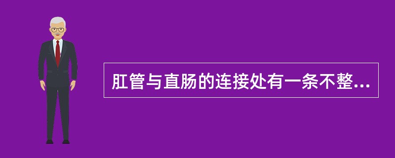 肛管与直肠的连接处有一条不整齐的交界线，称为A、肛管直肠环B、齿状线C、肛乳头D