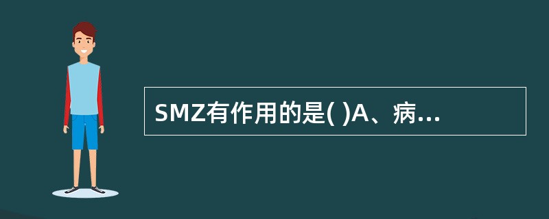 SMZ有作用的是( )A、病毒B、立克次体C、沙眼衣原体D、支原体E、螺旋体 -