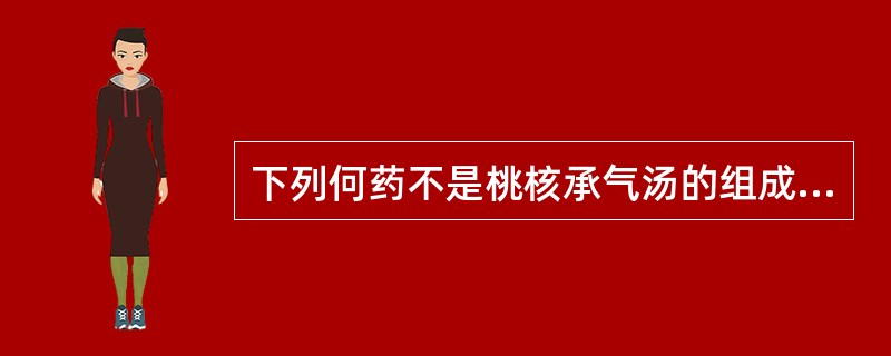 下列何药不是桃核承气汤的组成药物( )A、大黄B、枳实C、芒硝D、桂枝E、甘草