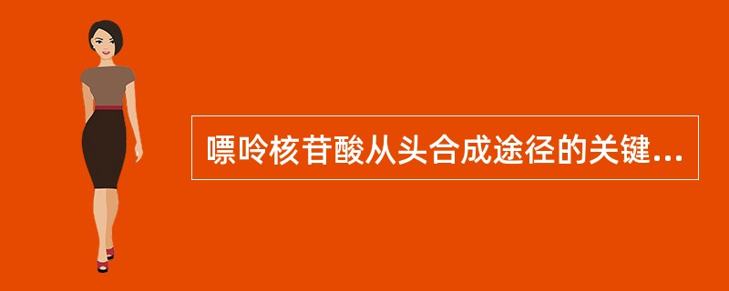 嘌呤核苷酸从头合成途径的关键酶是A、尿苷激酶B、嘧啶磷酸核糖转移酶C、PRPP合