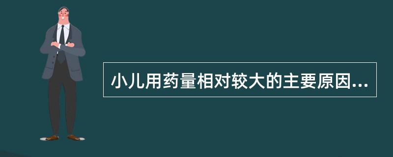 小儿用药量相对较大的主要原因是A、对药物的耐受性较大B、用药后见效较慢C、多急性