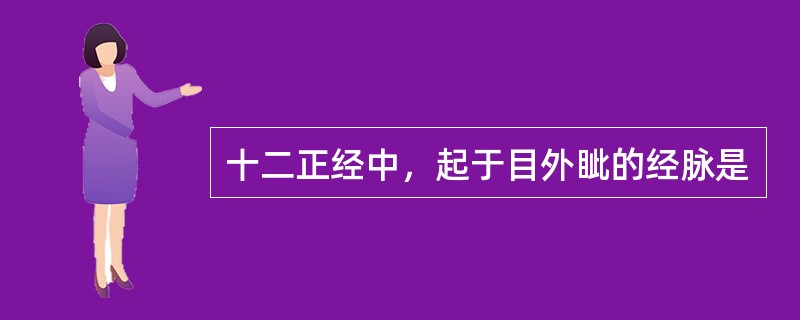 十二正经中，起于目外眦的经脉是