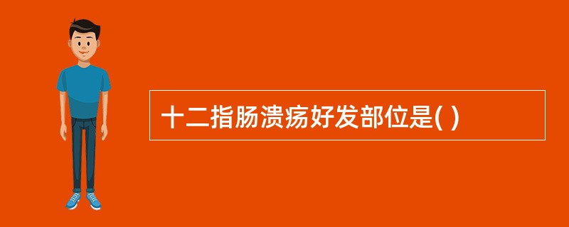 十二指肠溃疡好发部位是( )
