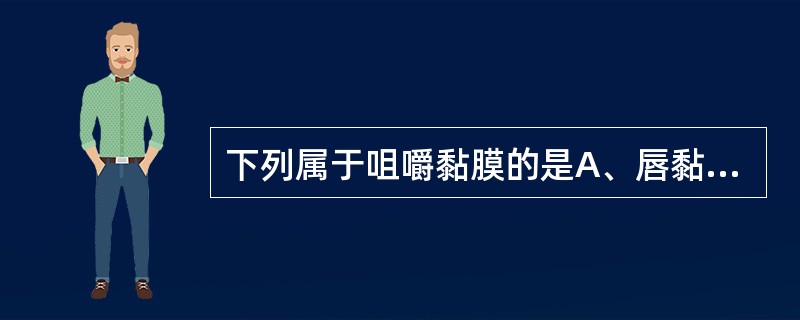 下列属于咀嚼黏膜的是A、唇黏膜B、颊黏膜C、硬腭黏膜D、软腭黏膜E、口底黏膜 -