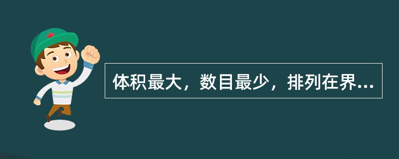 体积最大，数目最少，排列在界沟的前方的是