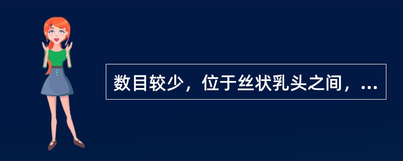 数目较少，位于丝状乳头之间，呈圆形头大颈细的突起是