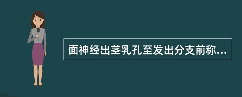 面神经出茎乳孔至发出分支前称为主干，面神经主干的长度为A、1.0～1.5cmB、