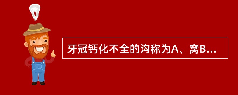 牙冠钙化不全的沟称为A、窝B、裂C、副沟D、点隙E、发育沟