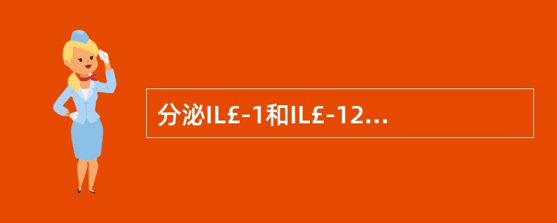 分泌IL£­1和IL£­12等细胞因子，参与免疫调节