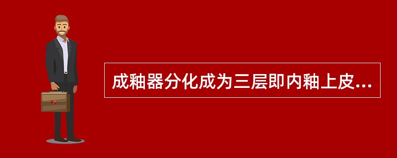 成釉器分化成为三层即内釉上皮、外釉上皮、星网状层，应为