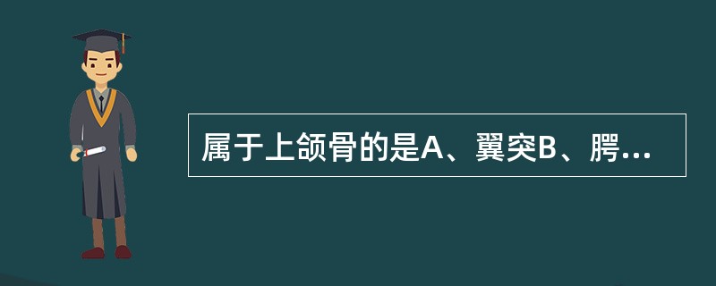 属于上颌骨的是A、翼突B、腭突C、喙突D、髁状突E、颏突