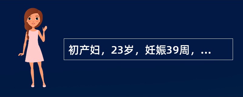 初产妇，23岁，妊娠39周，BP130£¯80mmHg，枕右前位，估计胎儿体重2