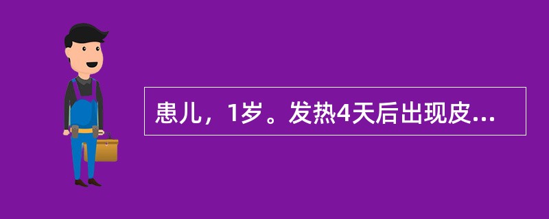 患儿，1岁。发热4天后出现皮疹，出疹时发热更高，皮疹以耳后、颈部沿发际边缘开始出