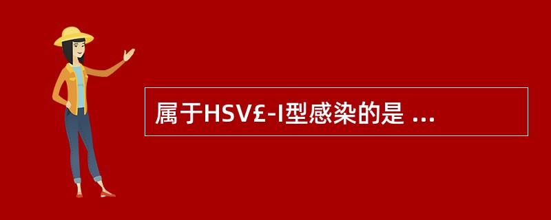 属于HSV£­I型感染的是 A．亚急性荨麻疹 B．妊娠疱疹 C．新生儿疱疹 D．