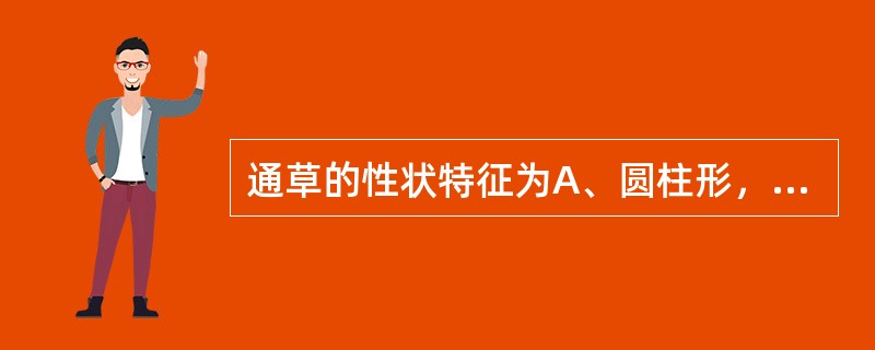 通草的性状特征为A、圆柱形，表面白色或淡黄色，有浅纵 沟纹B、体轻，质松软，稍有