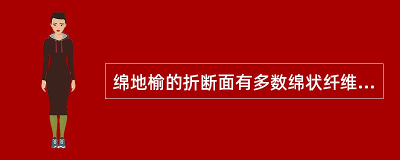 绵地榆的折断面有多数绵状纤维，它存在于A、皮部B、木质部C、随处可见D、髓部E、