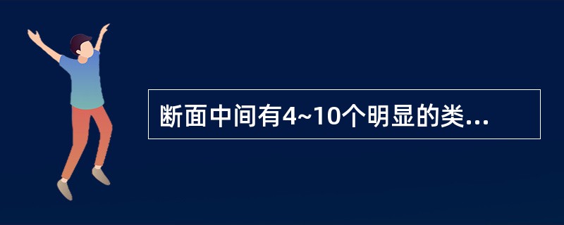 断面中间有4~10个明显的类白色点状维管束排列成环，中央灰黑色，味极苦的饮片是