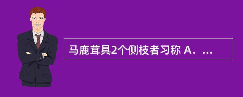 马鹿茸具2个侧枝者习称 A．二杠 B．四岔 C．单门 D．莲花 E．三岔