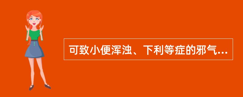 可致小便浑浊、下利等症的邪气是A、风邪B、寒邪C、暑邪D、湿邪E、燥邪