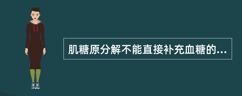 肌糖原分解不能直接补充血糖的原因是肌肉缺少