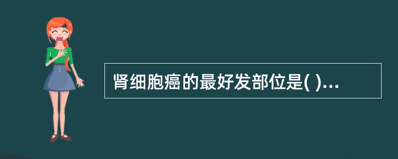 肾细胞癌的最好发部位是( )A、肾门B、肾下极C、肾中部D、肾上极E、随机发生